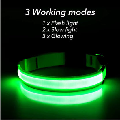 NightSafe™ LED Dog Collar