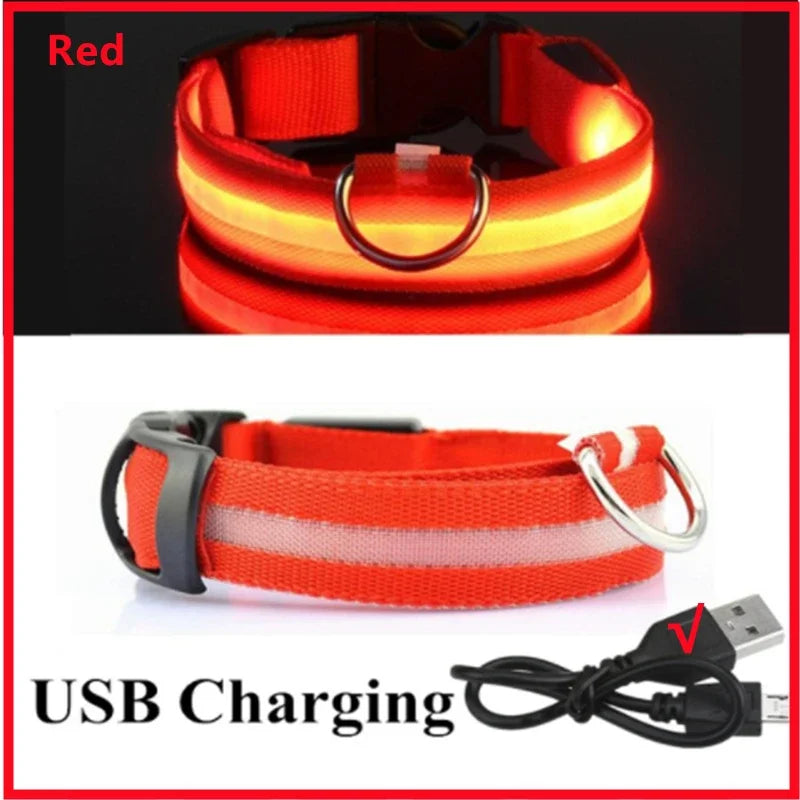 NightSafe™ LED Dog Collar