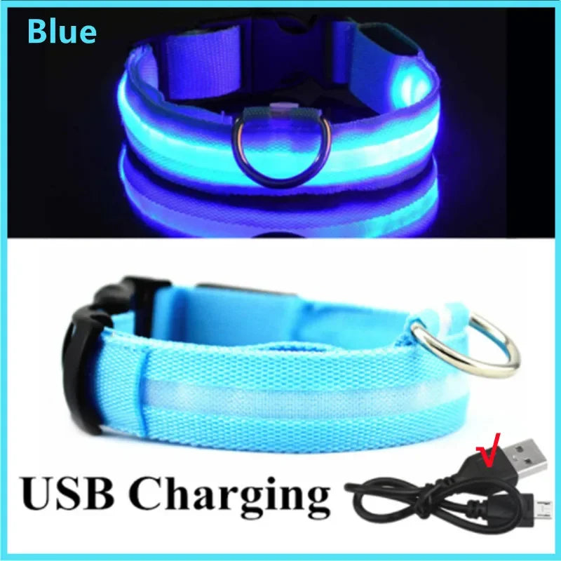 NightSafe™ LED Dog Collar