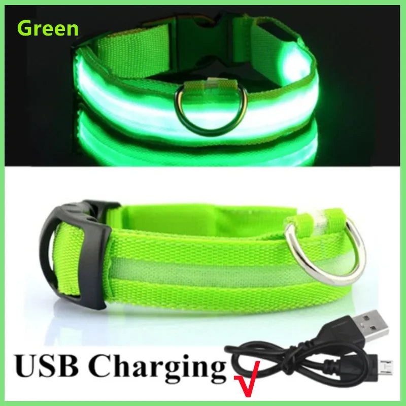 NightSafe™ LED Dog Collar