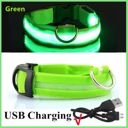 NightSafe™ LED Dog Collar