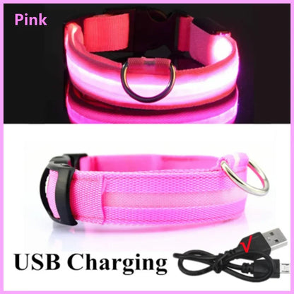 NightSafe™ LED Dog Collar