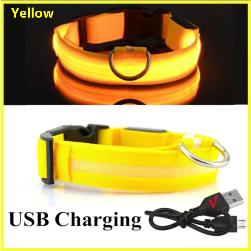 NightSafe™ LED Dog Collar