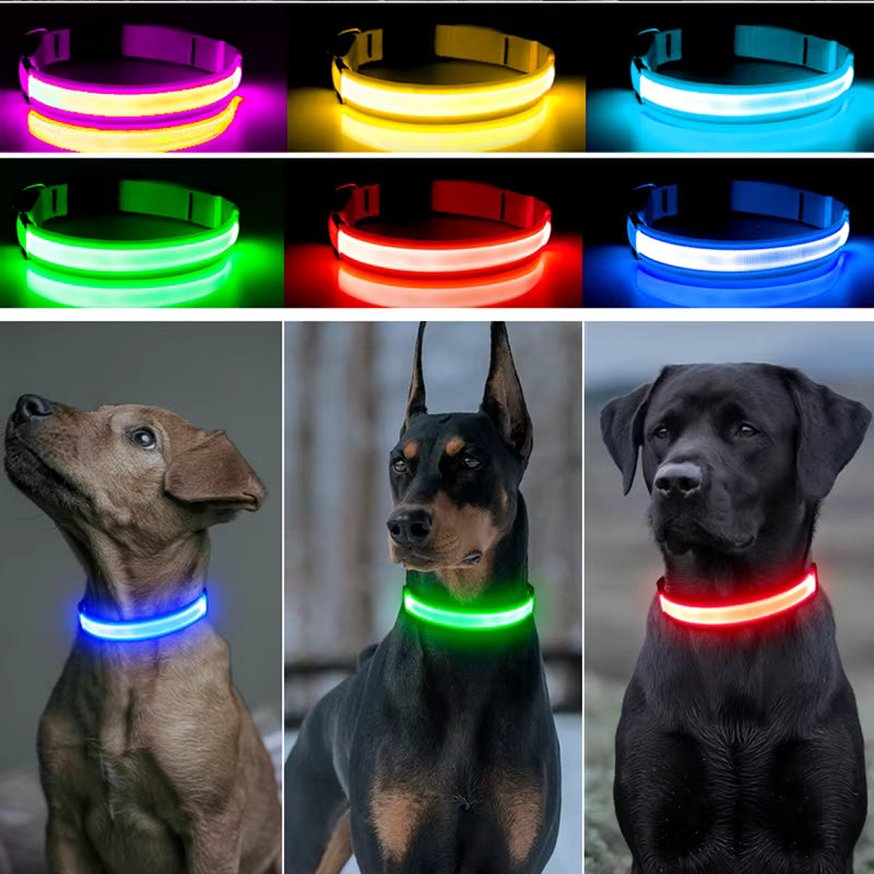 NightSafe™ LED Dog Collar