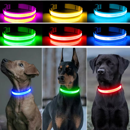 NightSafe™ LED Dog Collar