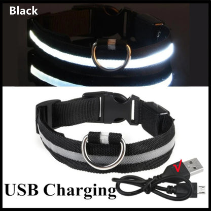 NightSafe™ LED Dog Collar