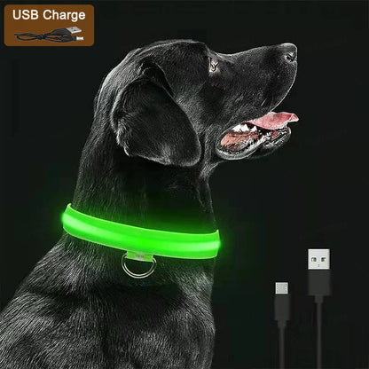 NightSafe™ LED Dog Collar