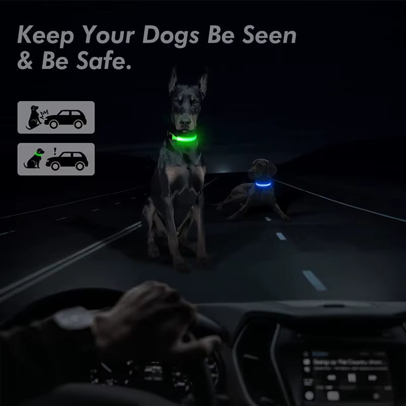NightSafe™ LED Dog Collar